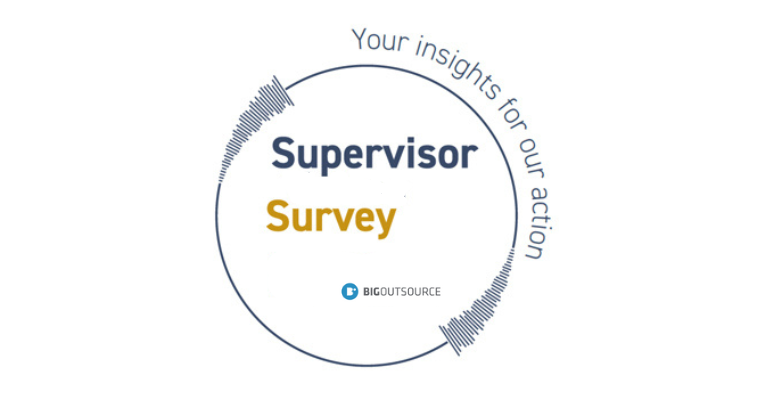 supervisor survey